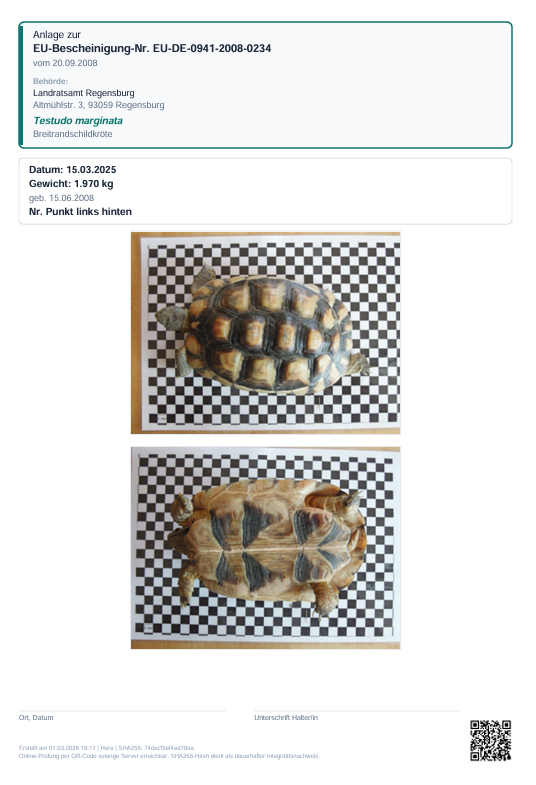 Fotodokumentation (2-seitig)